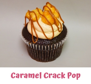 Gourmet Cupcakes Berkley MI - Cake Crumbs - caramelcrack1