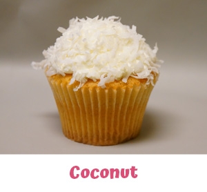 Freshly Baked Cupcakes Farmington Hills MI - Cake Crumbs - coc2