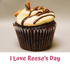 Gourmet Cupcakes Berkley MI - Cake Crumbs - ilovereeses1