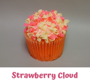 Gourmet Cupcakes West Bloomfield MI - Cake Crumbs - strawberrycloud