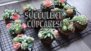 Succulent Cupcake Creations - Baking Classes Southfield Michigan | Cake Crumbs - suc2